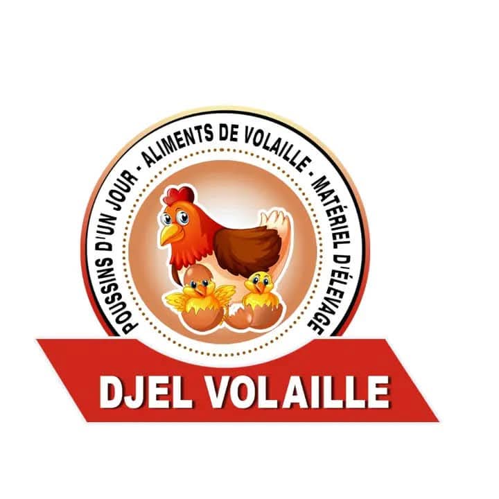 djel volaille